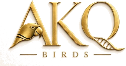 AKQ Birds