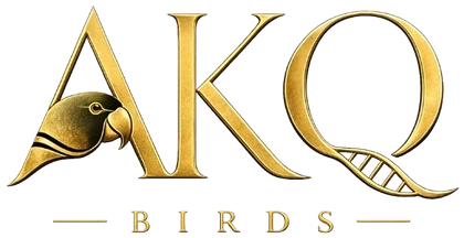 AKQ Birds