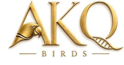AKQ Birds