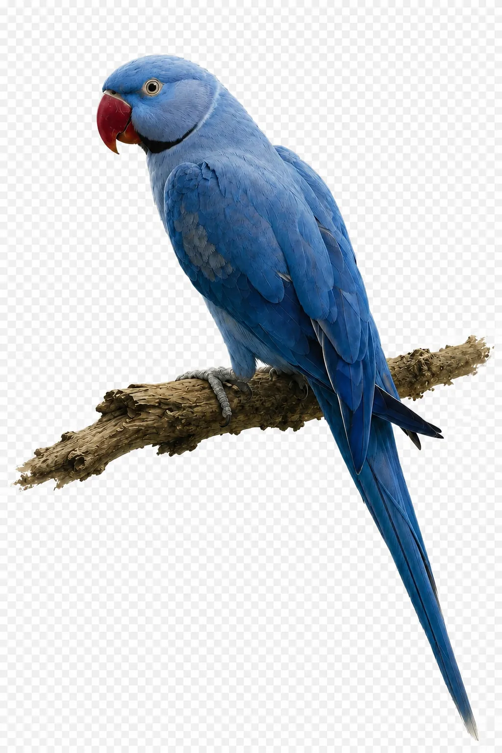 Cobalt
